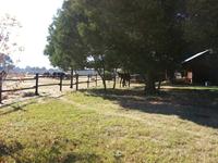 StarlightStables