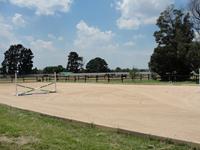 StarlightStables