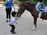 StarlightStables